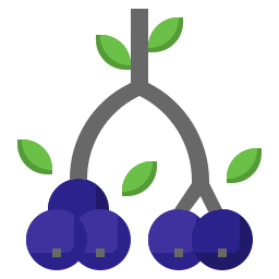 Berries icon