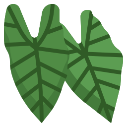 alocasia icon