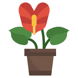 anthurium icon