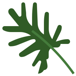 philodendron xanadu icon