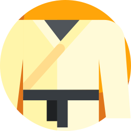 Judo icon