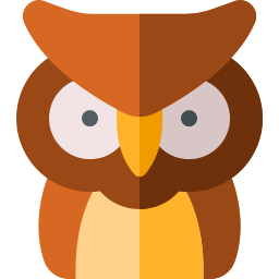 Owl icon