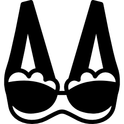 Brassiere icon