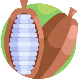 Cocoa icon