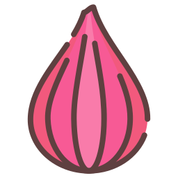 Onion icon