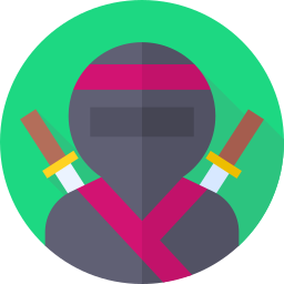 ninja icon