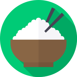 Rice bowl icon