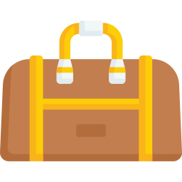 Bag icon