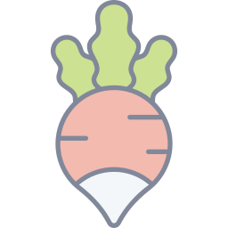 Radish icon