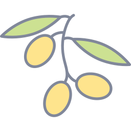 Lemon fruit icon