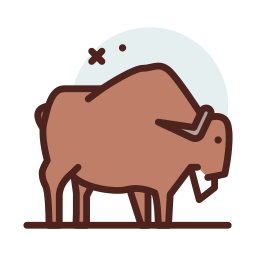 bison icon