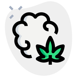 Brain icon