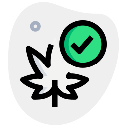 Checklist icon