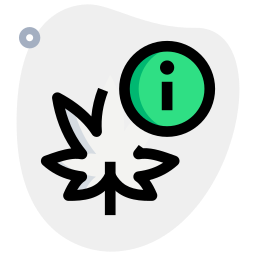 Info icon