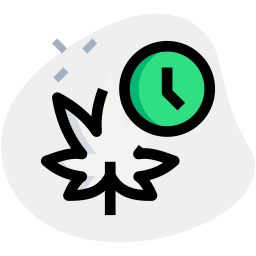 Delay icon