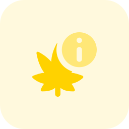 die info icon