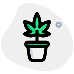 植物 icon