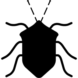 Bug black insect shape from top view icon