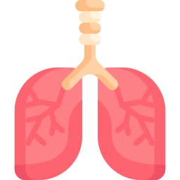 Lung icon