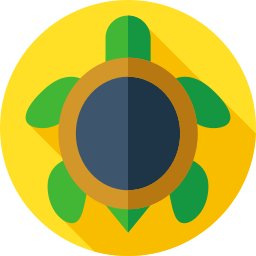 Turtle icon