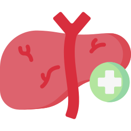 Hepatology icon