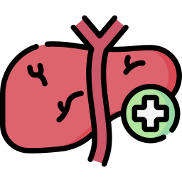 hepatologia Ícone