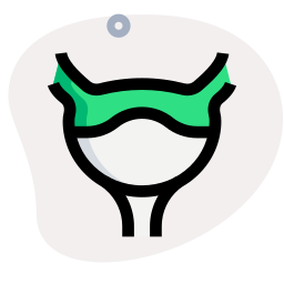 Bladder icon