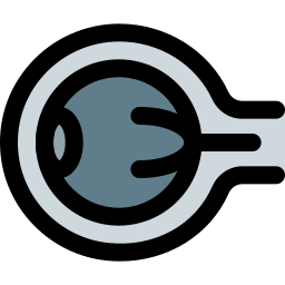 Eyeball icon