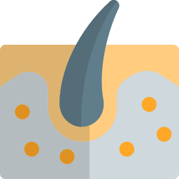 dermis icon