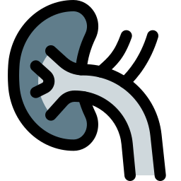 Kidney icon