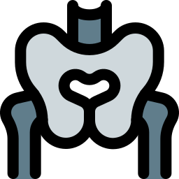 Pelvis icon