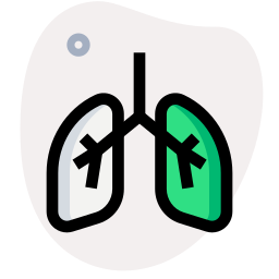 Lungs icon