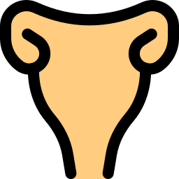 Uterus icon