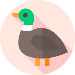 ente icon