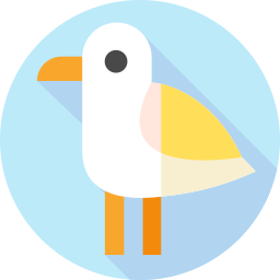 möwe icon