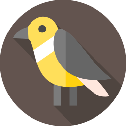 vogel icon