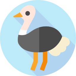 Ostrich icon