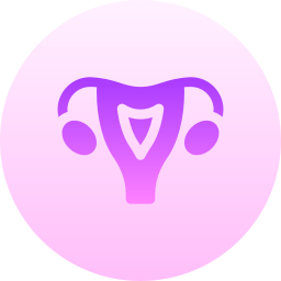 Uterus icon