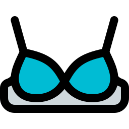 Brassiere icon