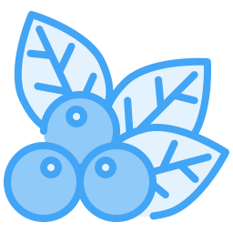 Berry icon