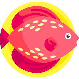 poisson Icône