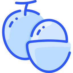 litschi icon