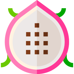 Pitahaya icon