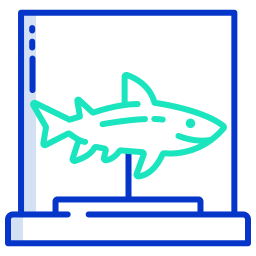 Shark icon