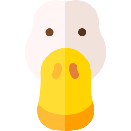 Duck icon