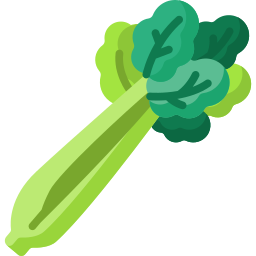 Celery icon