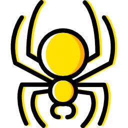 Spider icon