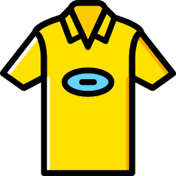 Shirt icon