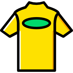 Shirt icon