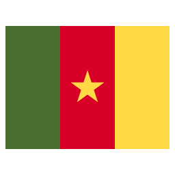 camerun icona